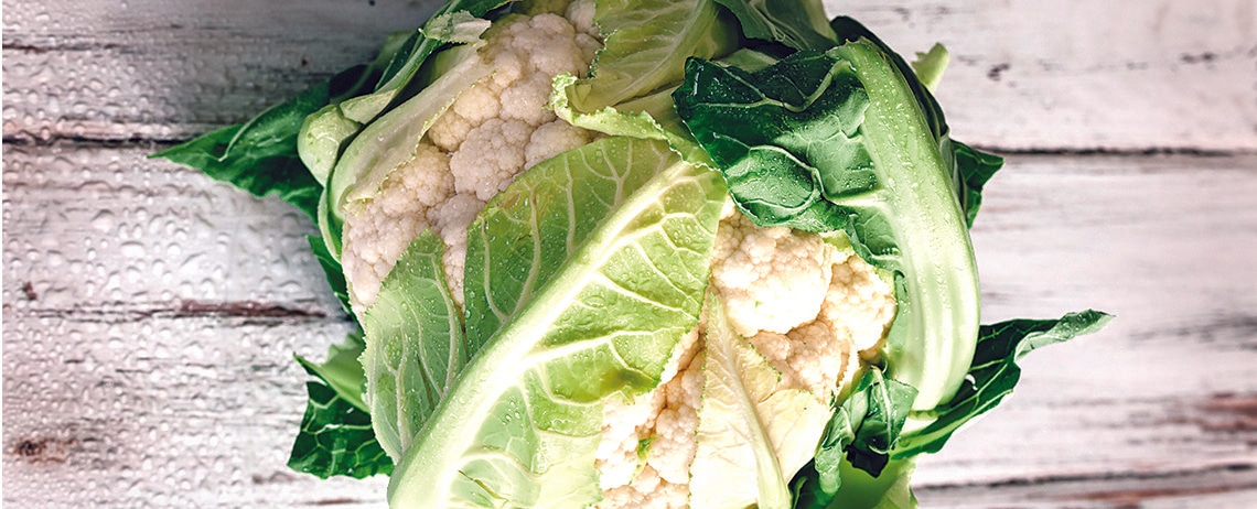 food safety crisis