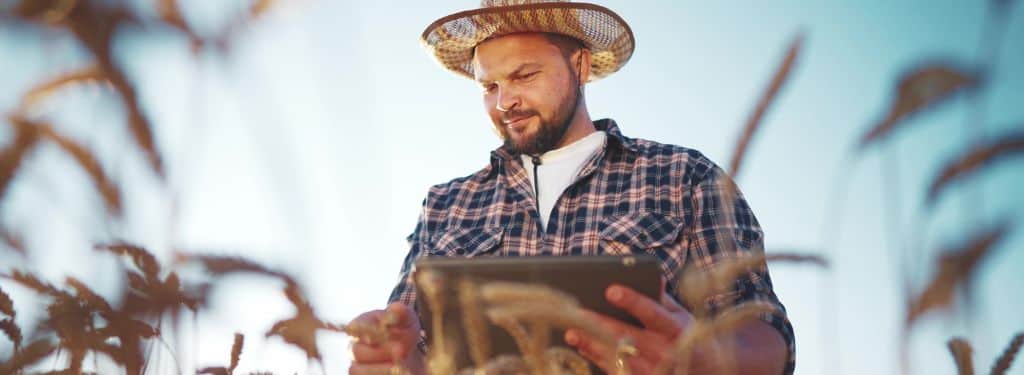 Grain Management Software