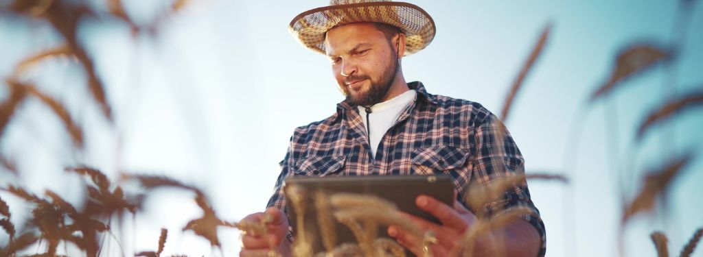 Grain Management Software