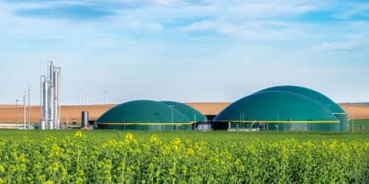 Biomass Energy - Featured Image