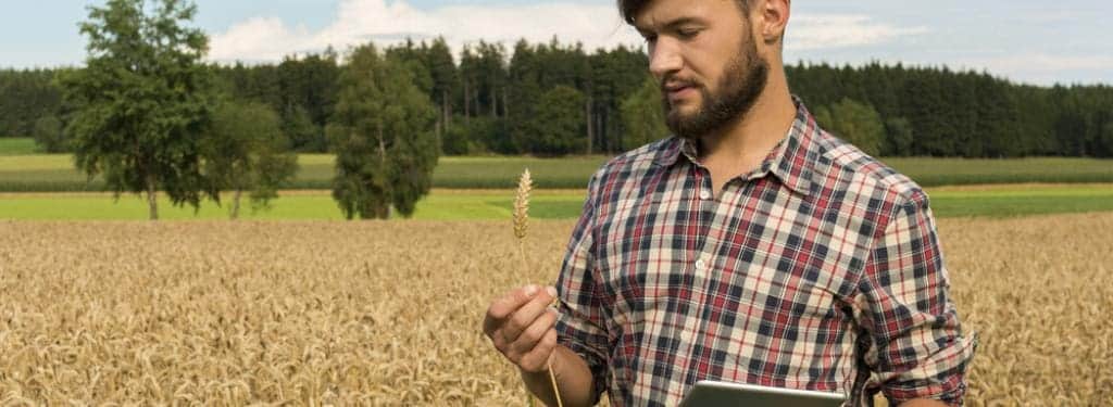 Food Traceability Software