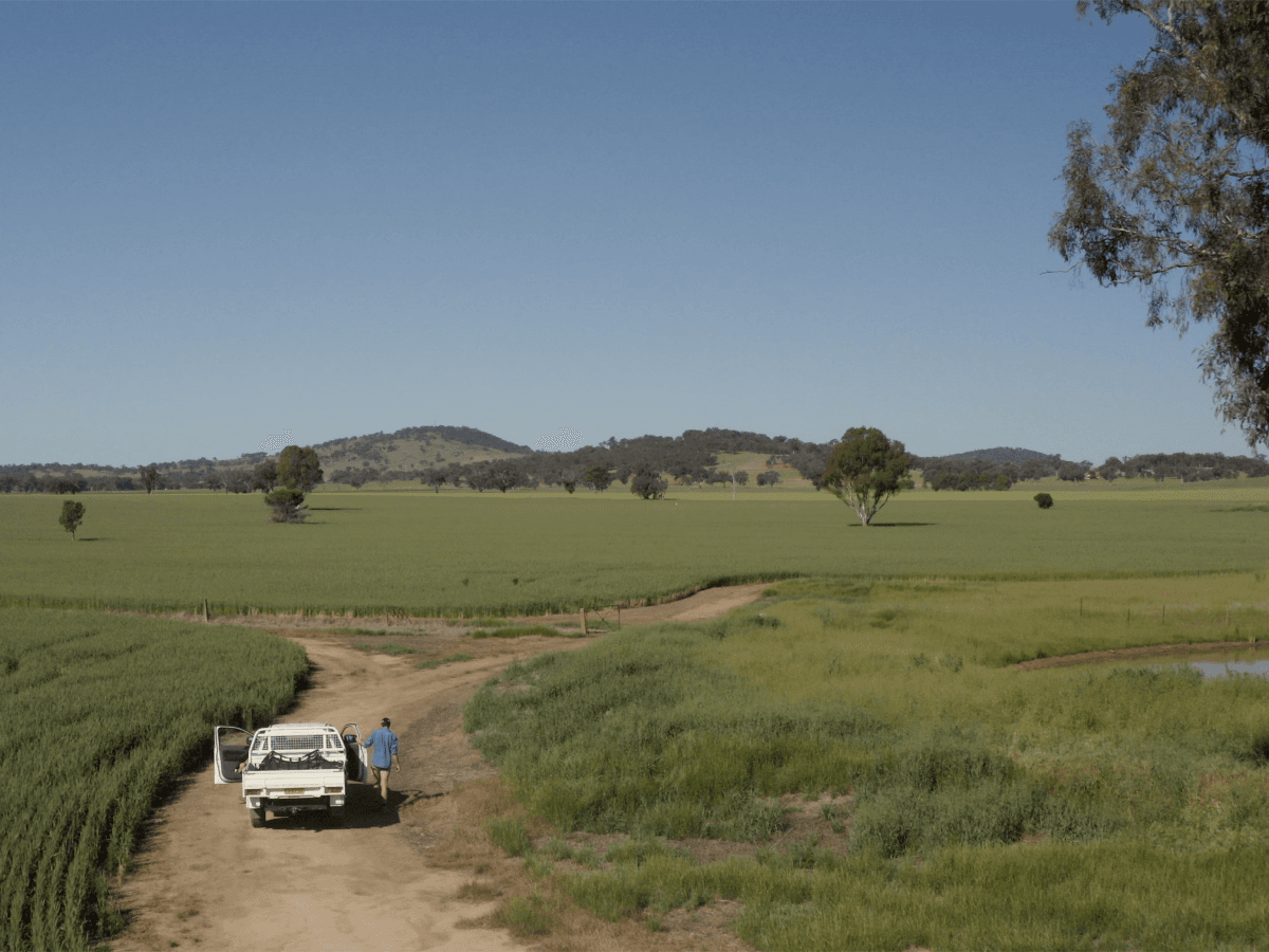 AGnVET SafetyCulture customer story