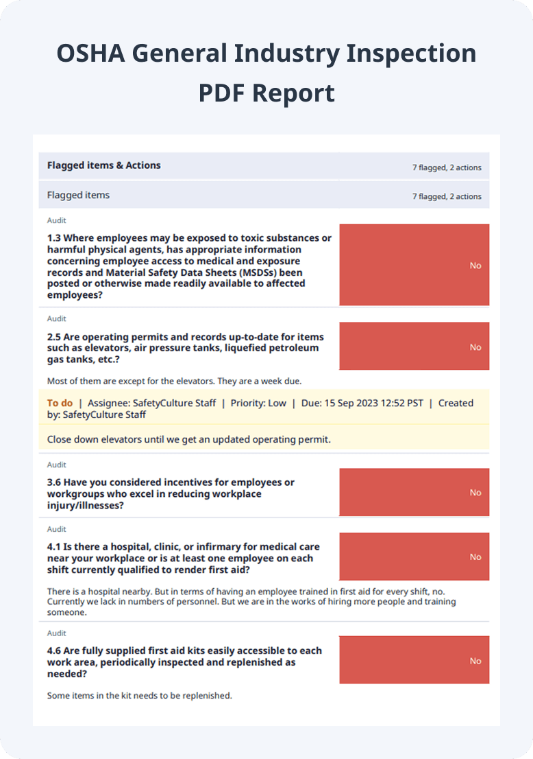 Preview OSHA Inspection Checklist PDF Report