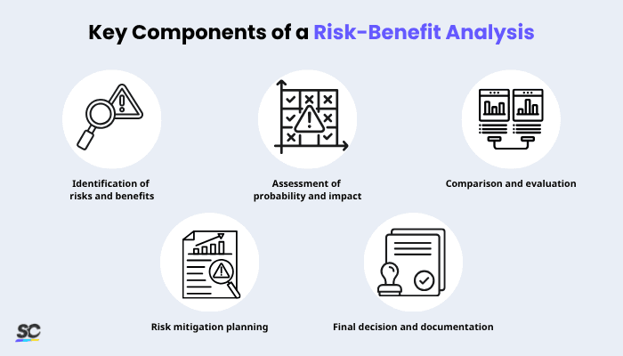 Key Components of a Risk-Benefit Analysis