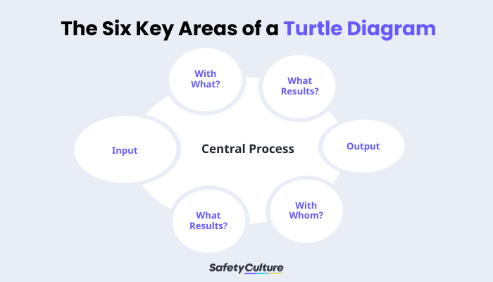 Turtle Diagram Infographic