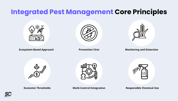 Integrated Pest Management Infographic