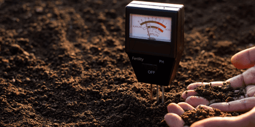 Soil Moisture Monitoring - Featured Image