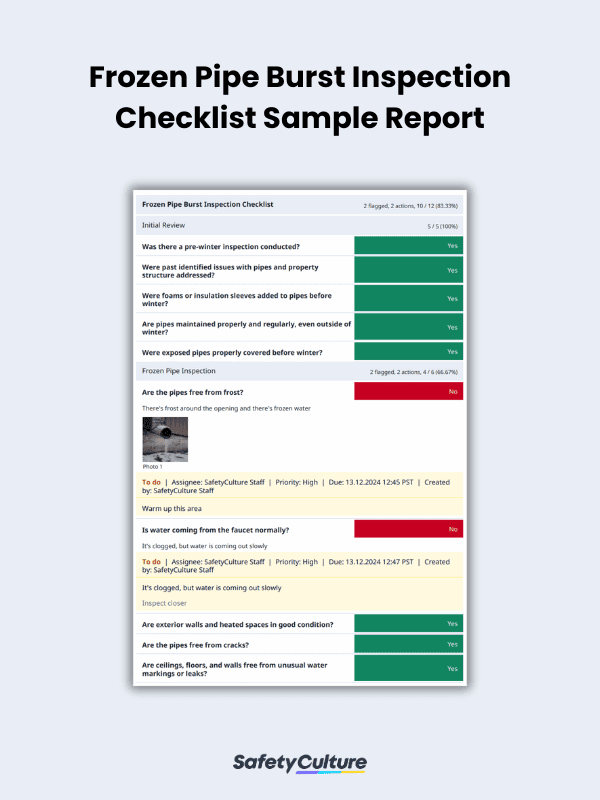 Frozen Pipe Burst Inspection Checklist Sample Report