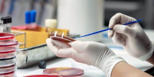 Scientist or laboratory worker swabbing a blood sample to inspect it for contamination