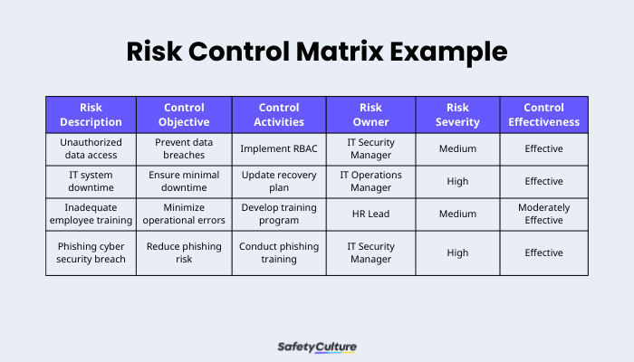 Risk Control Matrix Example
