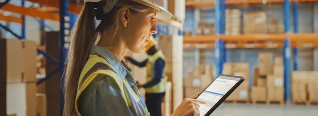 Distribution Management Software