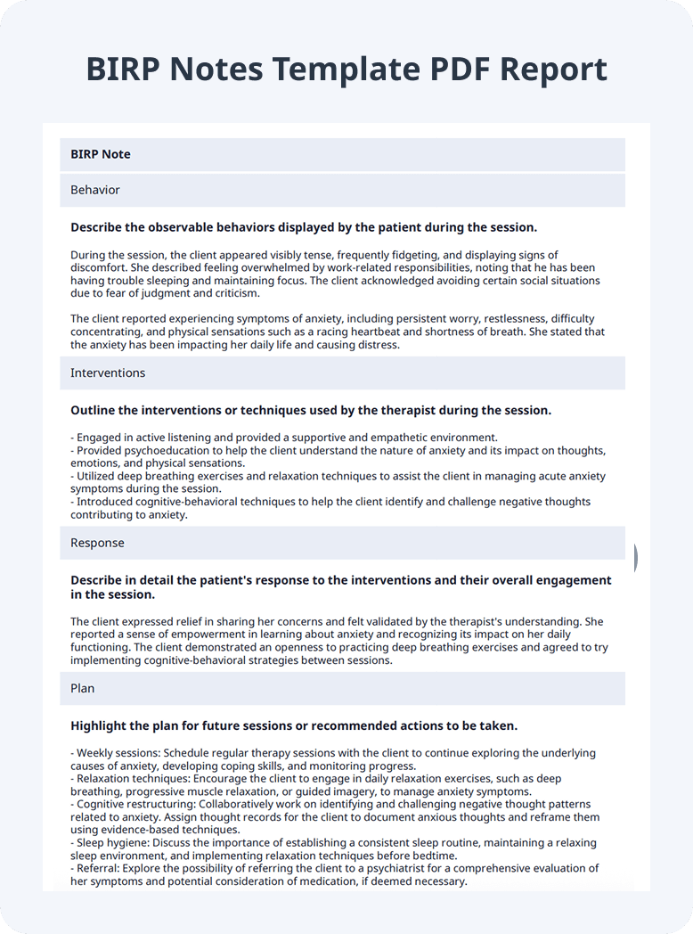 BIRP Notes Template PDF Report