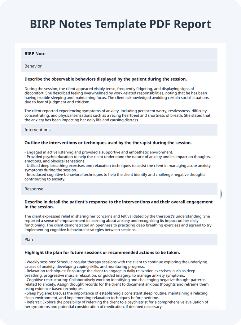 BIRP Notes Template PDF Report