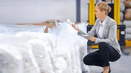 Image for ¿Qué es el control de materia prima?