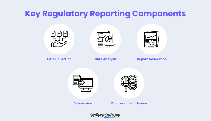Key Regulatory Reporting Components