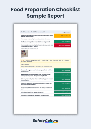 Food Preparation Checklist Sample Report
