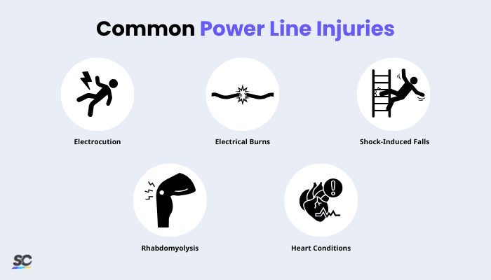 Power Line Safety Infographic