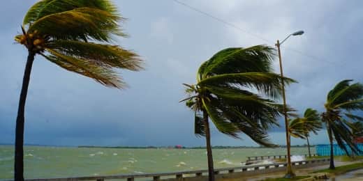 Hurricane Preparedness - Featured Image