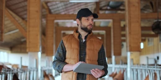 Dairy Production and Management - Featured Image
