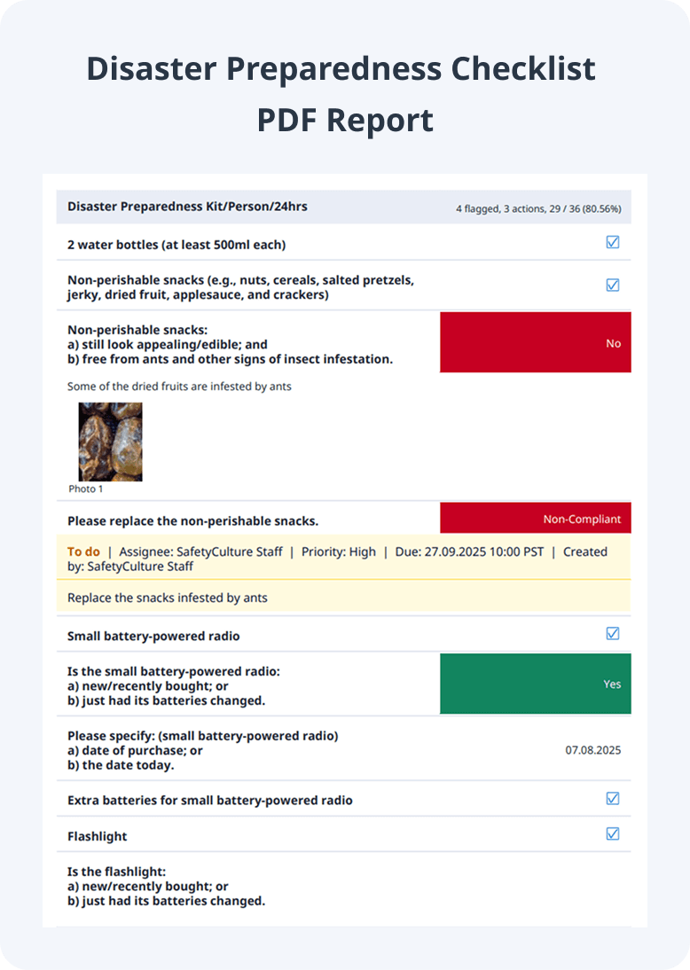Disaster Preparedness Checklist PDF Report
