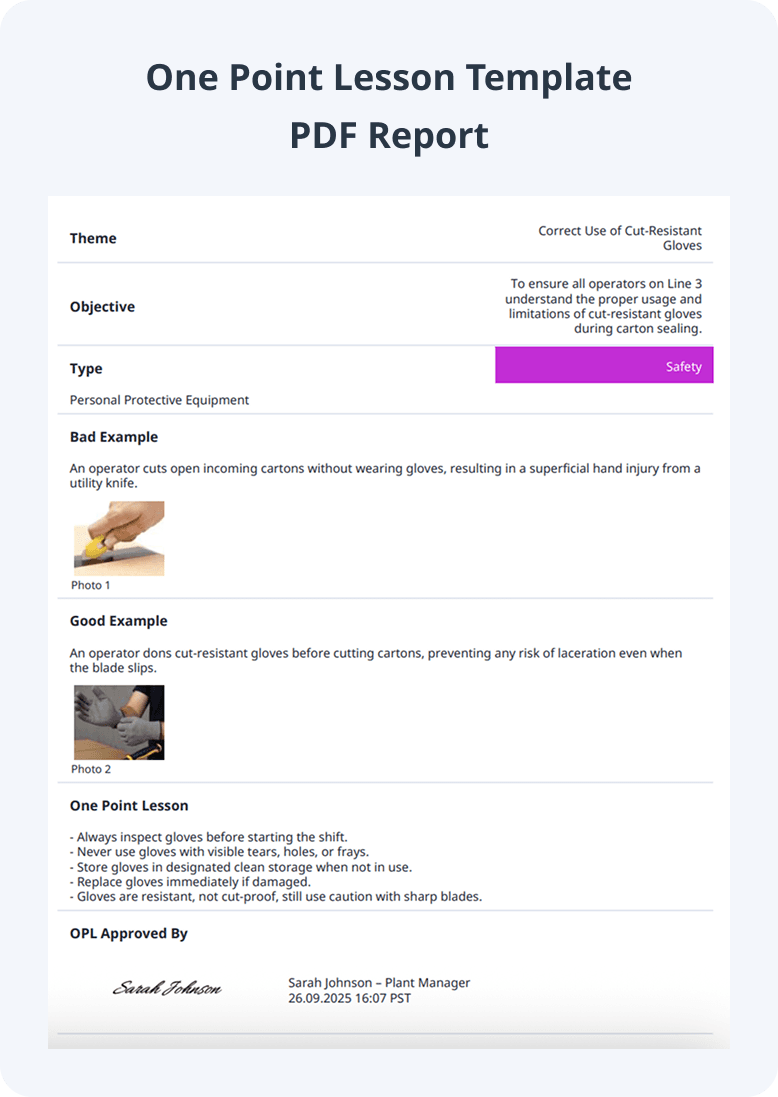 One Point Lesson Template PDF Report