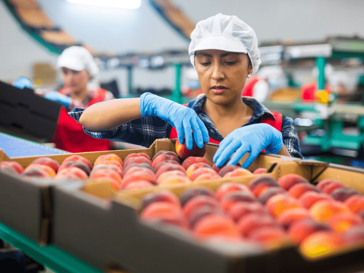 Frontline worker fruit picker