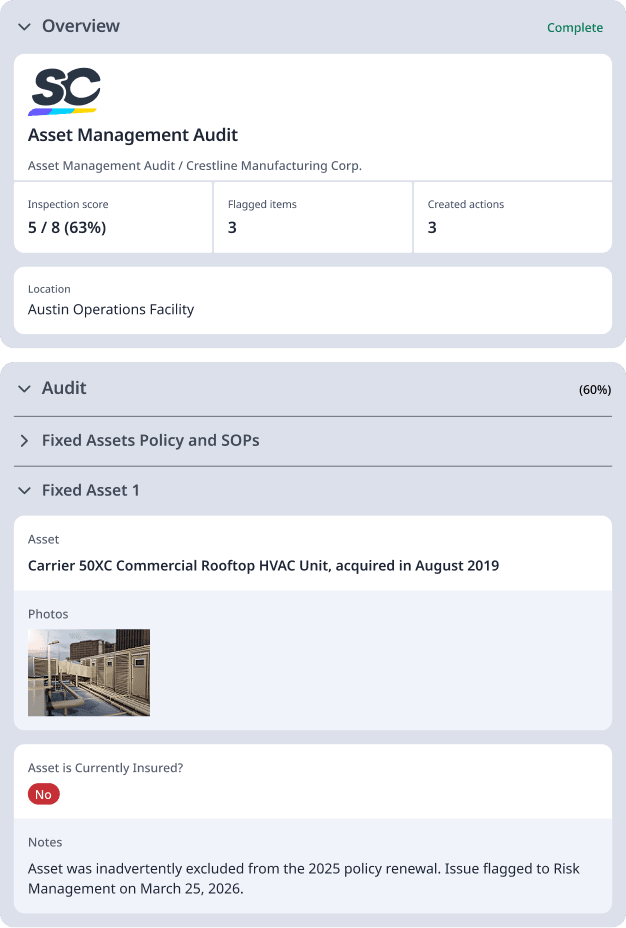 Asset Management Audit Featured Template Sample Report Image