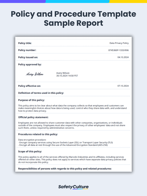 Policy and Procedure Template Sample Report