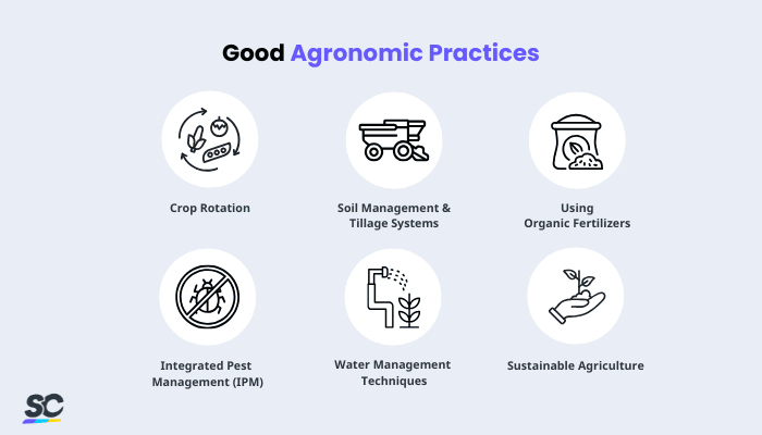 Good Agronomic Practices - Infographic