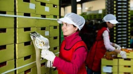 a worker doing food labeling