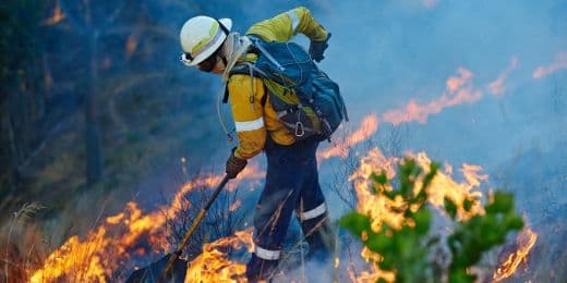 Firefighter clearing out burnt greenery, exposing themselves to various cancer risks