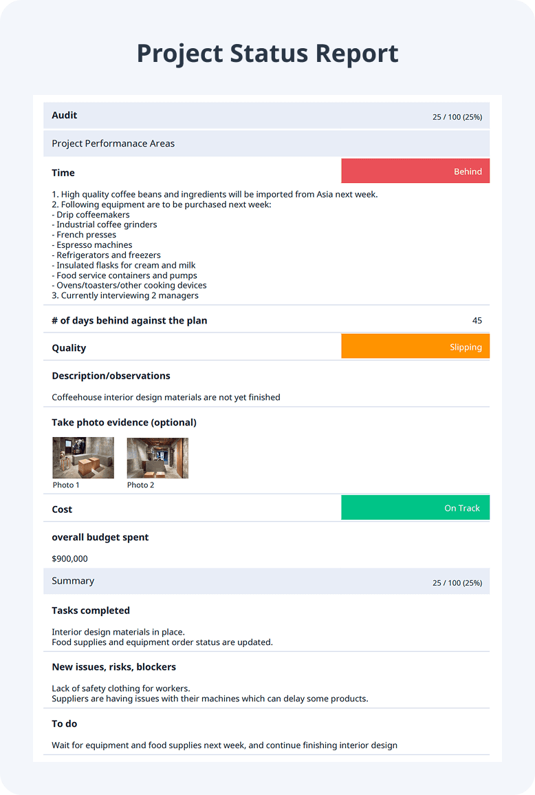 Sample Project Status Report