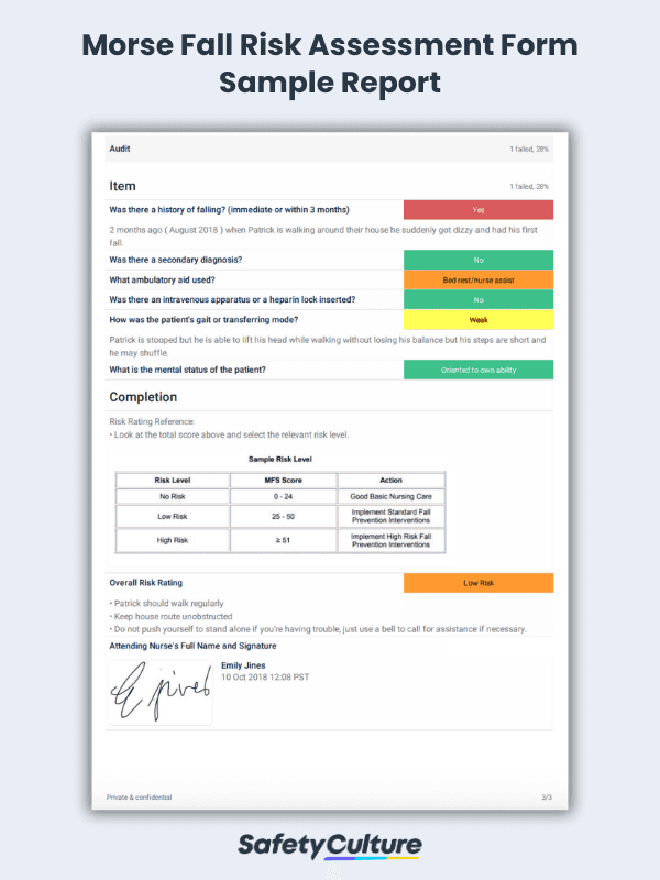 morse fall risk assessment form sample report