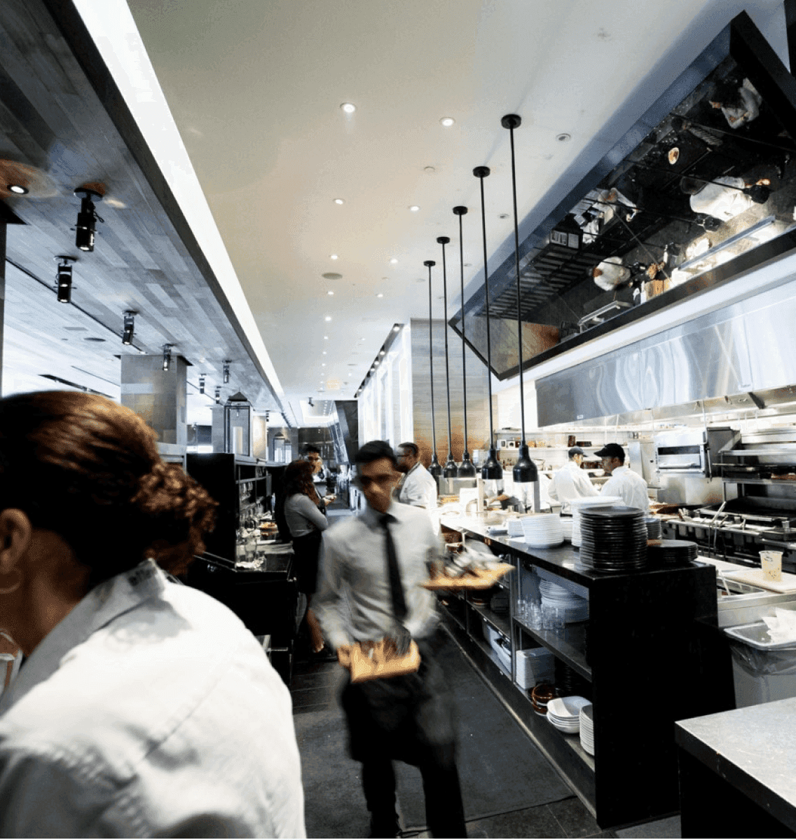 MSLE - Testimonial Image