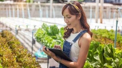 Supply Chain Sustainability