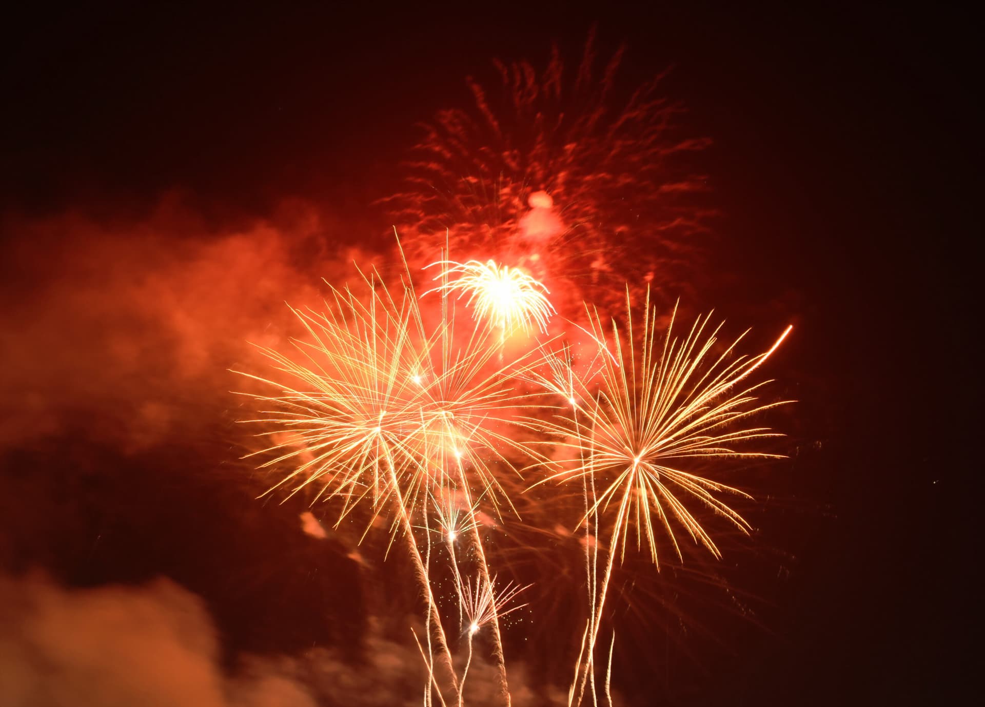 Fireworks are displayed in the night sky.