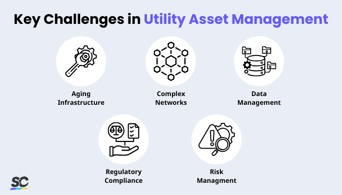 Utility Asset Management Infographic