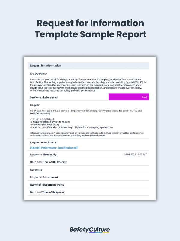 RFI Template Sample PDF Report