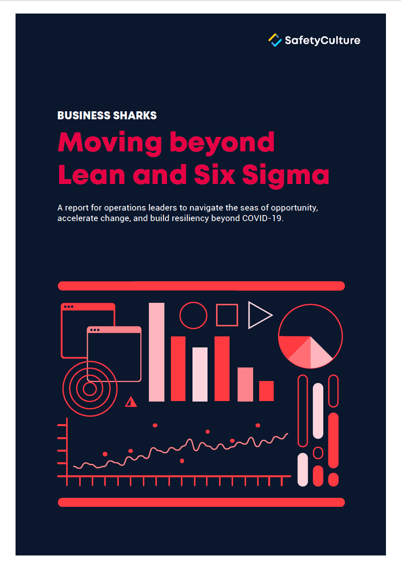 Moving-beyond-Lean-and-Six-Sigma e-book