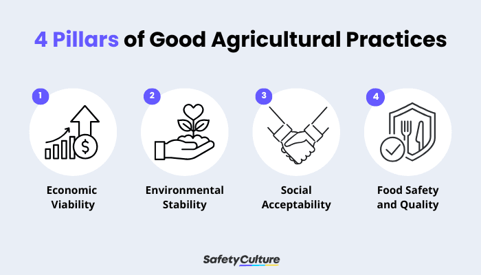 Good Agricultural Practices 4 Pillars