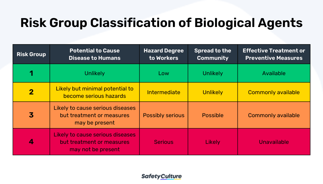 Types of Biological Hazards & Their Risk Groups | SafetyCulture