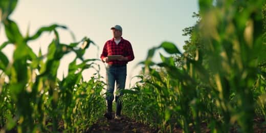 A Comprehensive Guide to Farm Management | SafetyCulture