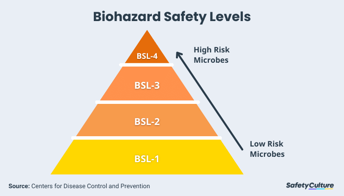 Biological Hazard Examples and Safety Levels | SafetyCulture
