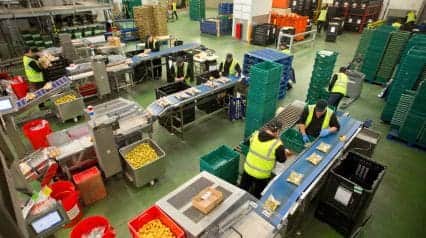 5S in the Workplace Examples | SafetyCulture