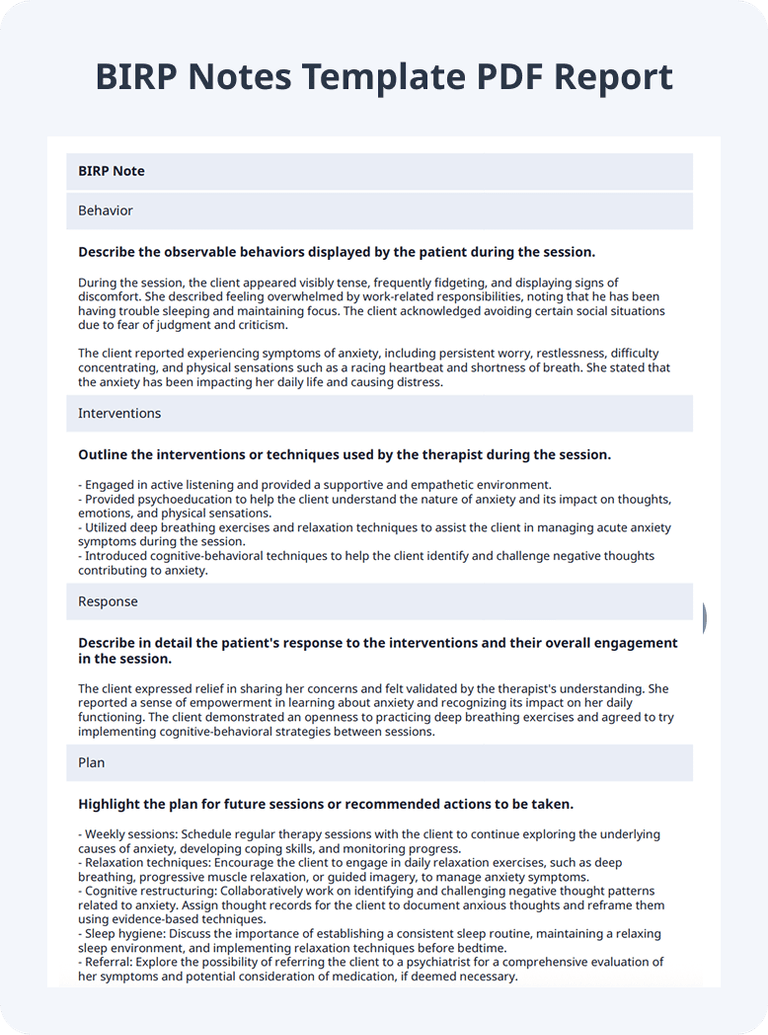 Free BIRP Notes (Examples & Templates) | PDF | SafetyCulture