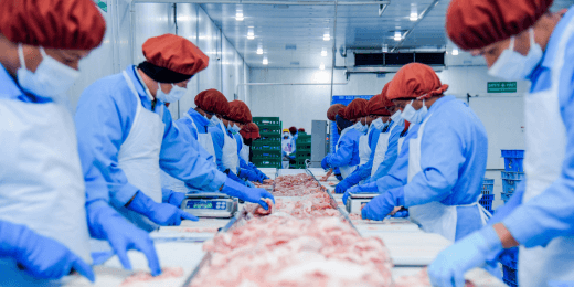 A Comprehensive Guide to Meat Processing | SafetyCulture