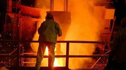 ||Plant Risk Assessment Template