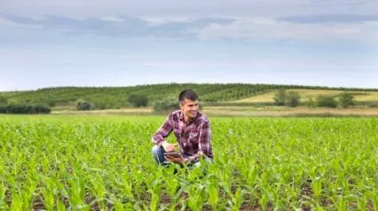 organic farmer using an organic system plan template in a mobile device for his Organic System Plan|organic farmer using an organic system plan template in a mobile device for his Organic System Plan||Organic System Plan Template|Organic System Plan Template