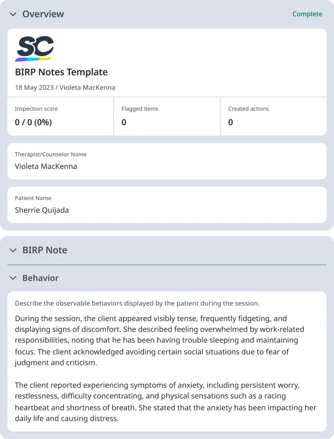 BIRP Notes Template