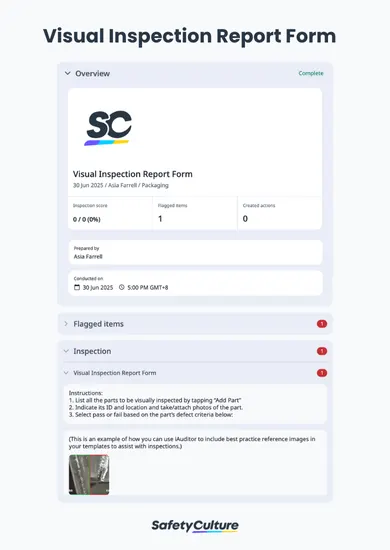 Visual Inspection Report Form
